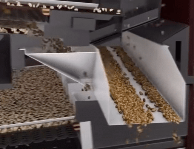 Cleaning and sorting in Cimbria's Delta Cleaner (illustration: Cimbria A/S)